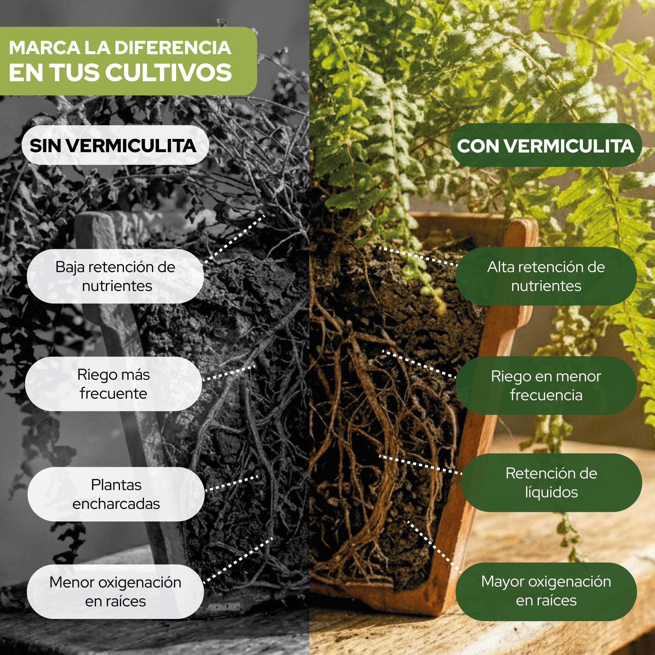 Vermiculita 125L para mejorar el sustrato de plantas y cultivos · foto 4