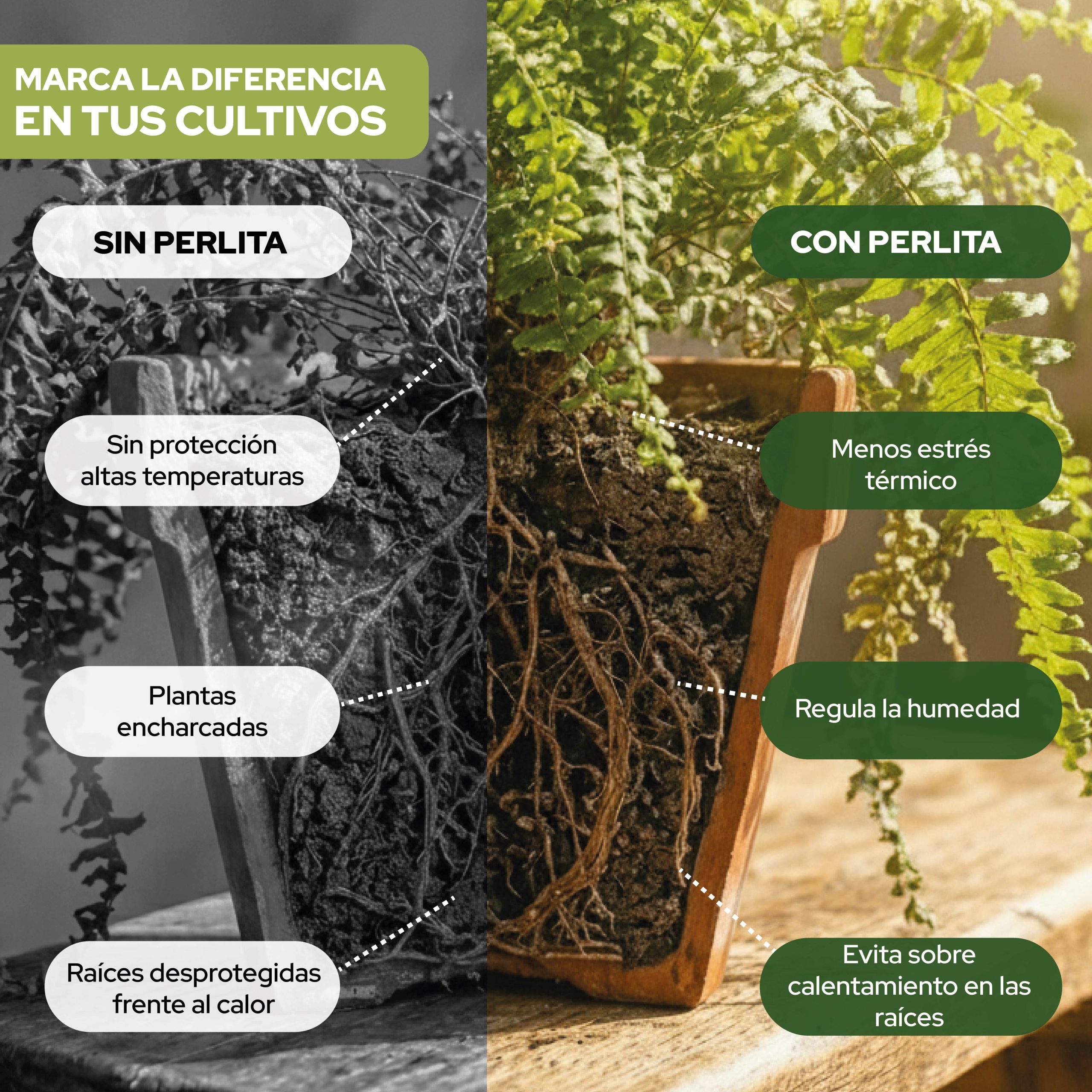 Perlita 125 L de Control Garden para mejorar el sustrato de cultivos · foto 4
